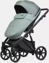 Детская универсальная коляска Riko Montana 2 в 1 Plus (41, зеленый) icon 6