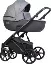 Детская универсальная коляска Riko Montana 3 в 1 Plus (40, графитовый/серый) icon