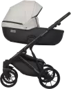 Детская универсальная коляска Riko Montana Ecco 2 в 1 (31, Light Silver/Black) icon