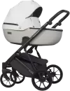Детская универсальная коляска Riko Montana Ecco 2 в 1 (32, White/Light Silver) icon