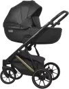 Детская универсальная коляска Riko Montana Premium 2 в 1 (02, черный, рама золото) icon