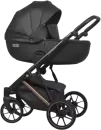 Детская универсальная коляска Riko Montana Premium 2 в 1 (12, черный, рама медь) icon