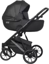 Детская универсальная коляска Riko Montana Premium 2 в 1 (22, черный, рама серебристый) icon