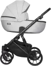 Детская универсальная коляска Riko Montana X 3 в 1 Basic 03 (серый) icon