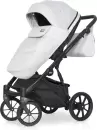 Детская универсальная коляска Riko Montana X 3 в 1 Basic 03 (серый) icon 2