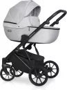 Детская универсальная коляска Riko Montana X 3 в 1 Basic 03 (серый) icon 4
