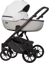 Детская универсальная коляска Riko Montana X Ecco 2 в 1 Basic (белый/светло-серый) icon