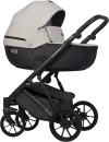 Детская универсальная коляска Riko Montana X Ecco 2 в 1 Basic (светло-серый/черный) icon