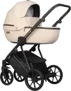 Детская универсальная коляска Riko Montana X Ecco 2 в 1 Basic 22 (бежевый) icon 2