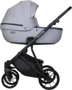 Детская универсальная коляска Riko Montana X Ecco 2 В 1 Basic 23 (серый) icon