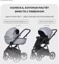 Детская универсальная коляска Riko Montana X Ecco 2 В 1 Basic 23 (серый) icon 4