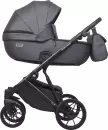 Детская универсальная коляска Riko Montana X Ecco 2 в 1 Basic 24 (графит) icon