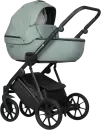 Детская универсальная коляска Riko Montana X Ecco 3 в 1 Basic (зеленый) icon
