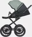 Детская универсальная коляска Riko Montana X Ecco Prestige 2 в 1 Basic 21 (зеленый) icon 5