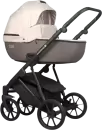 Детская универсальная коляска Riko Montana X Plus 3 в 1 (коричневый-бежевый) icon