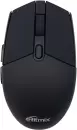 Мышь Ritmix RMW-213 icon