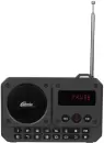 Радиоприемник Ritmix RPR-010 icon