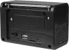 Радиоприемник Ritmix RPR-020 icon 2