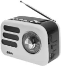 Радиоприемник Ritmix RPR-033 (белый) icon