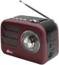 Радиоприемник Ritmix RPR-033 (шоколадный) icon