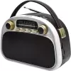 Радиоприемник Ritmix RPR-040 (белый) icon
