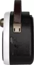 Радиоприемник Ritmix RPR-040 (белый) icon 3