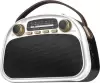 Радиоприемник Ritmix RPR-040 (белый) icon 6