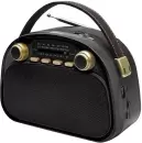 Радиоприемник Ritmix RPR-040 (черный) icon