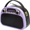 Радиоприемник Ritmix RPR-040 (лавандовый) icon