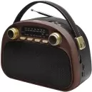 Радиоприемник Ritmix RPR-040 (шоколадный) icon