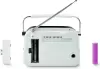 Радиоприемник Ritmix RPR-045 (белый) icon 2