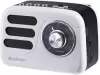 Радиоприемник Ritmix RPR-705 icon