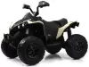 Детский электроквадроцикл RiverToys BRP Can-Am Renegade Y333YY (хаки) icon