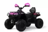 Детский электроквадроцикл RiverToys E009EE (розовый) icon
