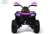 Детский электроквадроцикл RiverToys E009EE (розовый) icon 3