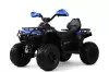Детский электроквадроцикл RiverToys E009EE (синий) icon