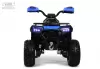 Детский электроквадроцикл RiverToys E009EE (синий) icon 2
