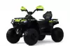 Детский электроквадроцикл RiverToys E009EE (зеленый) icon