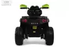 Детский электроквадроцикл RiverToys E009EE (зеленый) icon 5