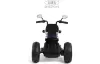 Детский электромотоцикл RiverToys G500GG (синий) icon 4