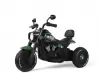 Детский электромотоцикл RiverToys G500GG (зеленый) icon