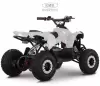 Детский электроквадроцикл RiverToys MARK (белый Special) icon 5
