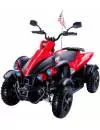 Детский квадроцикл RiverToys P222PP icon