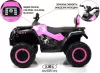 Детский электроквадроцикл RiverToys T001TT 4WD (розовый) icon 2