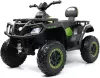 Детский электроквадроцикл RiverToys T001TT 4WD (зеленый) icon