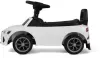 Детский толокар RiverToys Z004ZZ-B (белый) icon
