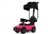 Детский толокар RiverToys Z005ZZ-MP (розовый) icon