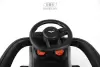 Детский толокар RiverToys Z005ZZ-T (серый) icon 6