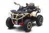 Детский электроквадроцикл RiverToys Z111ZZ (бежевый) icon