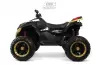 Детский электроквадроцикл RiverToys Z888VO 4WD (черный) icon 2